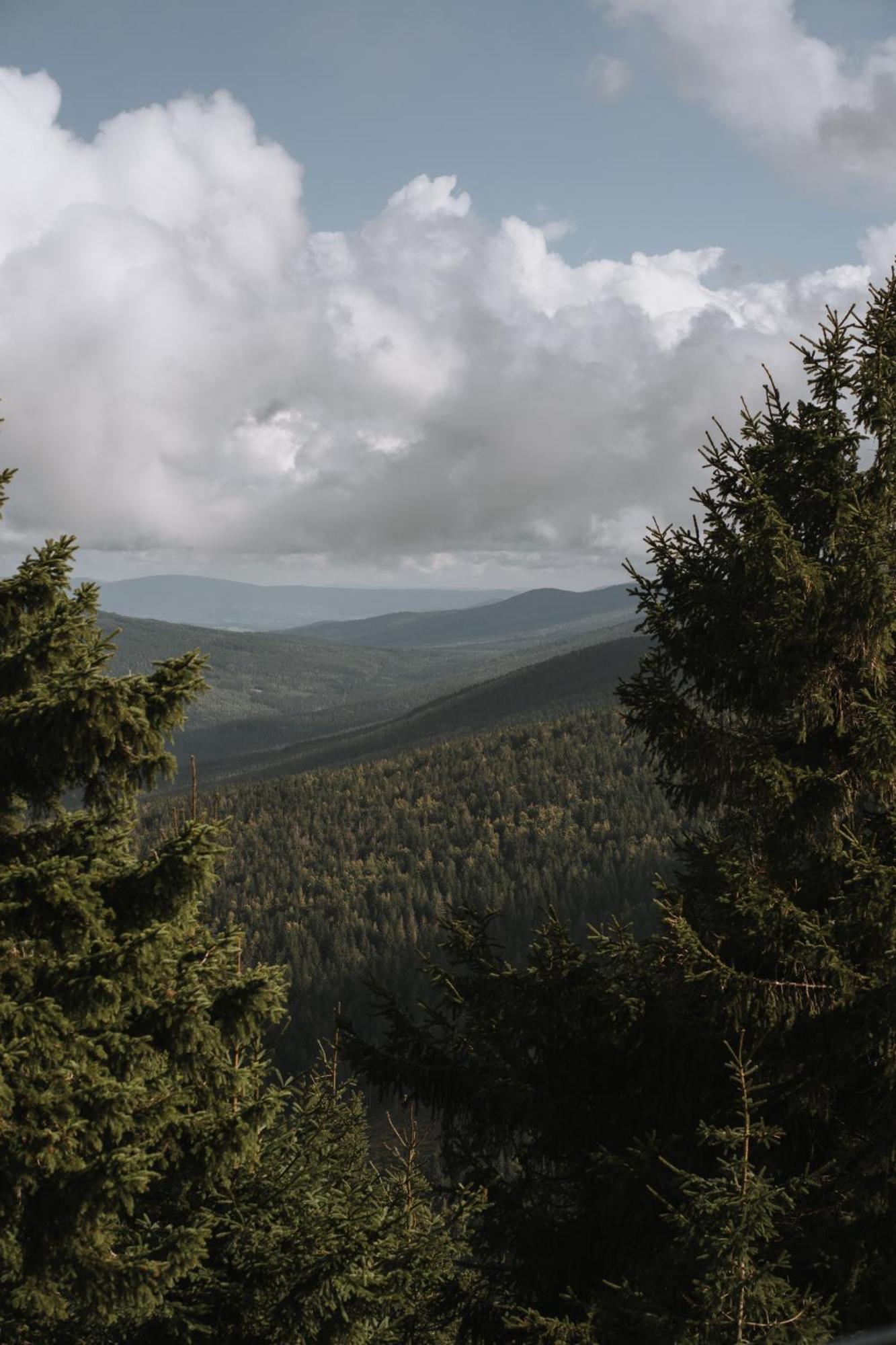 Forest Park Resort & Spa Świeradów-Zdrój Eksteriør bilde