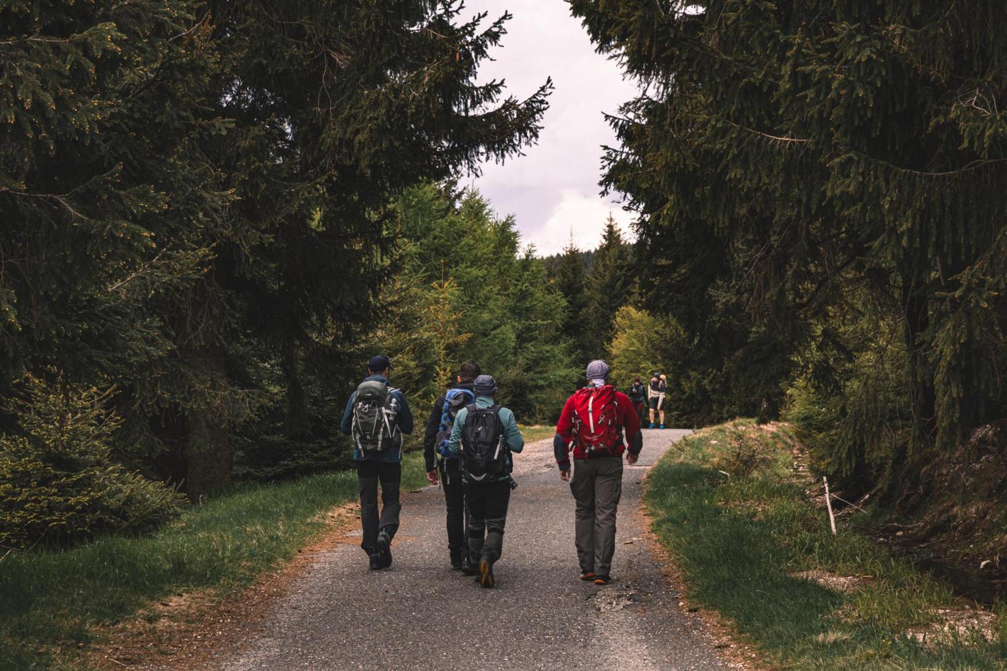 Forest Park Resort & Spa Świeradów-Zdrój Eksteriør bilde